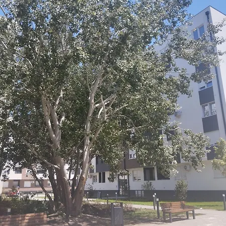 Square In - Free Garage- *